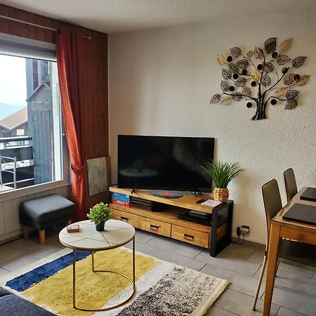 Superbe T2 3 Etoiles 40m2 Pied Des Pistes Vue Sur Le Apartment Thollon-les-Memises